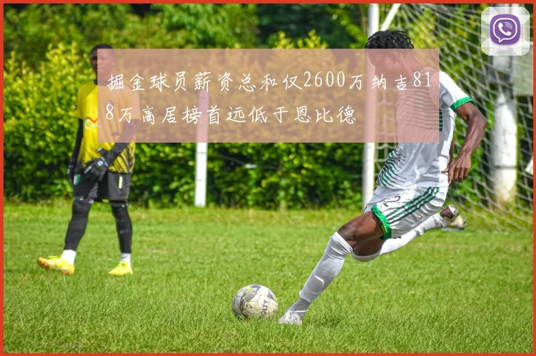 掘金球员薪资总和仅2600万纳吉818万高居榜首远低于恩比德