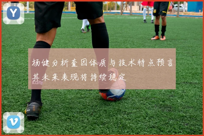 杨健分析奎因体质与技术特点预言其未来表现将持续稳定