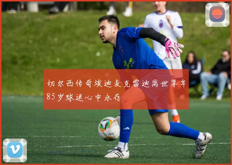 切尔西传奇埃迪麦克雷迪离世享年85岁球迷心中永存